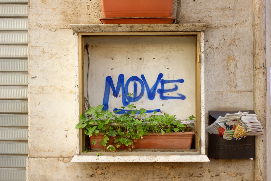 hero-01 a-potted-plant-in-a-window-with-the-word-move-painted-on-it-ju2gghxz6k0